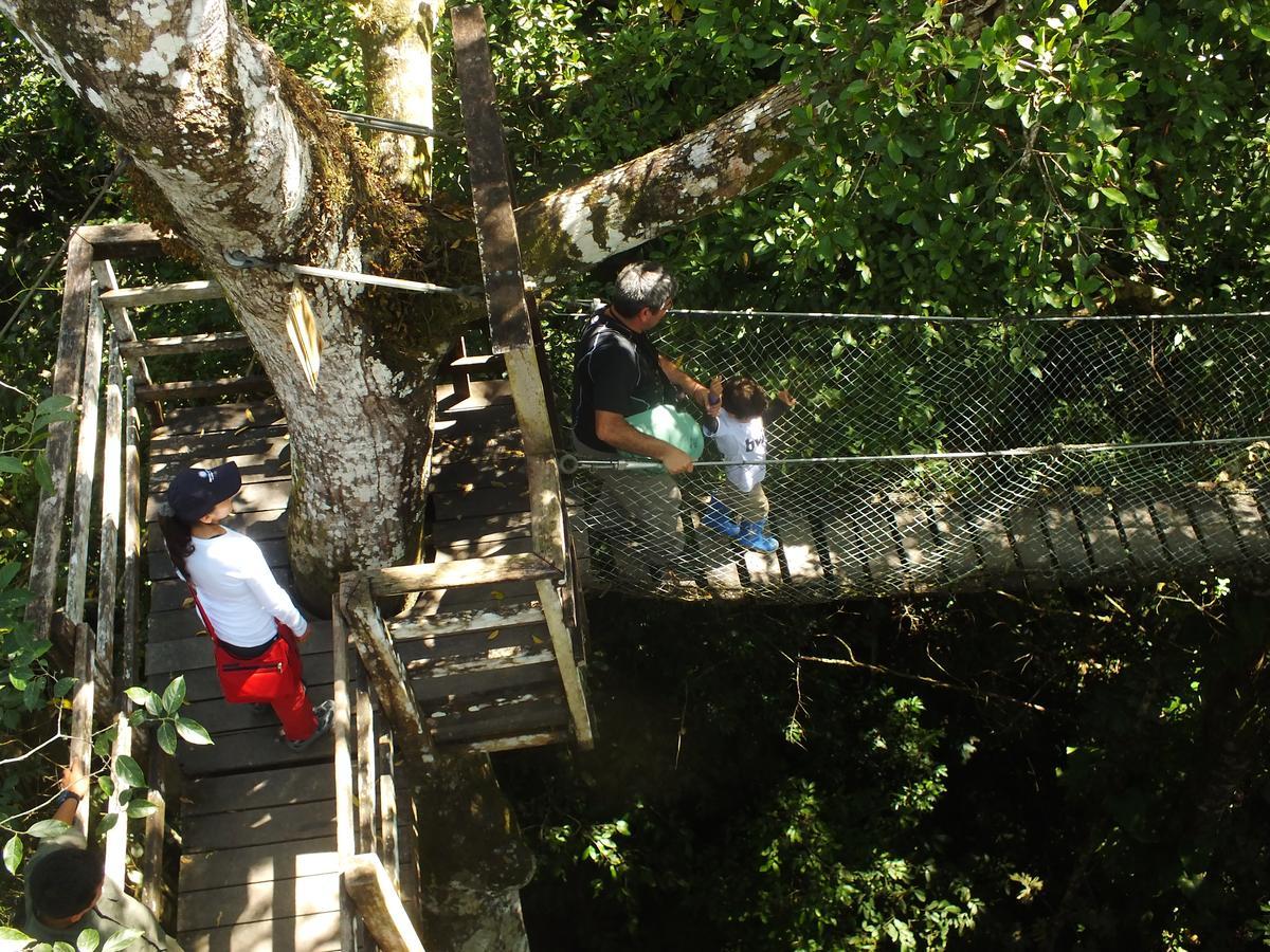 Hacienda Herrera Tambopata Puerto Maldonado Kültér fotó