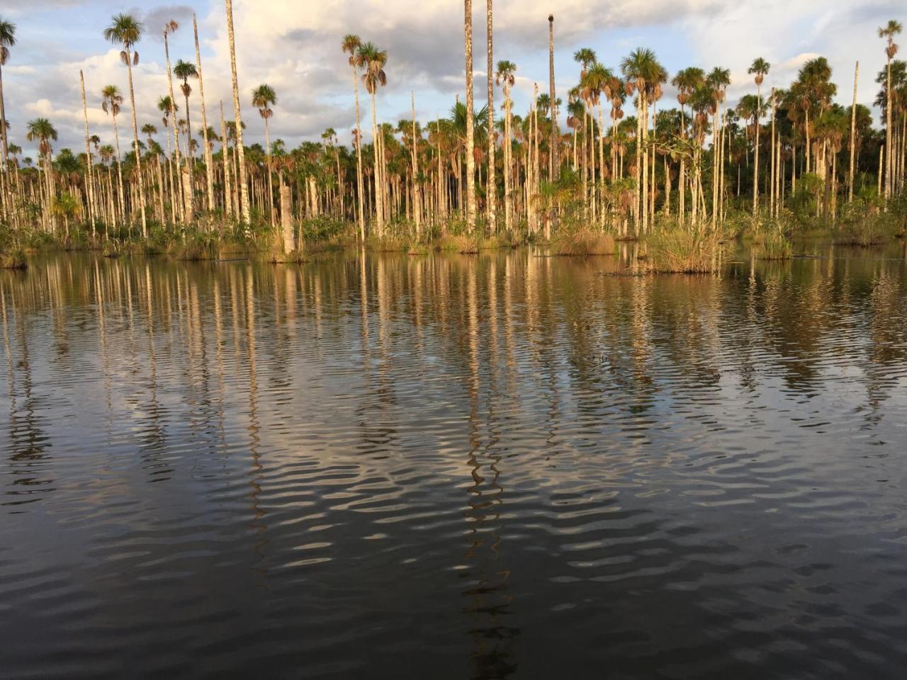 Hacienda Herrera Tambopata Puerto Maldonado Kültér fotó