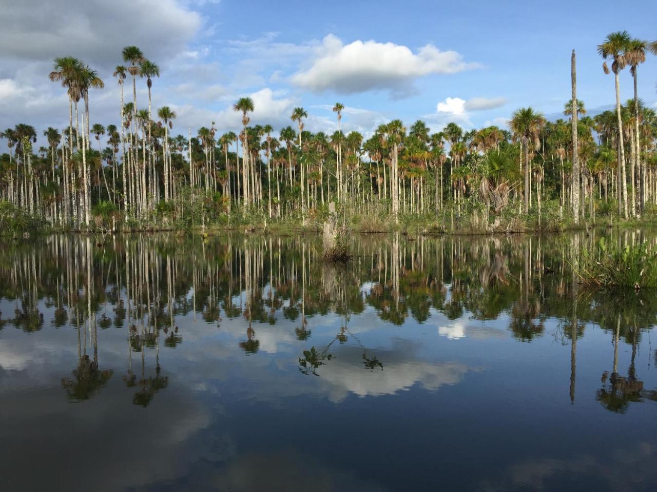 Hacienda Herrera Tambopata Puerto Maldonado Kültér fotó